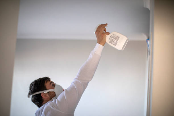 Best Mold Damage Repair  in Gladstone, OR