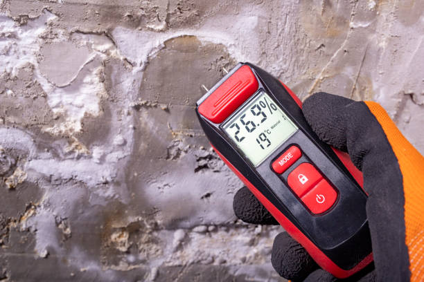 Home Mold Removal in Gladstone, OR