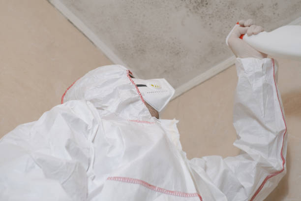 Best Attic Mold Removal  in Gladstone, OR