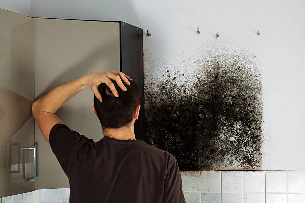 Best Fast Mold Removal  in Gladstone, OR