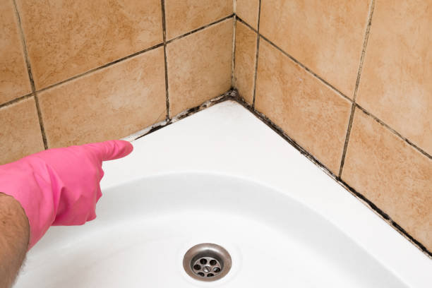 Best Office Mold Removal Services  in Gladstone, OR